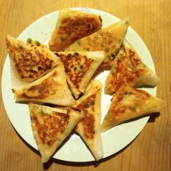 Pholiotes du peuplier BIO séchés