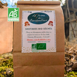 Shiitakes BIO séchés