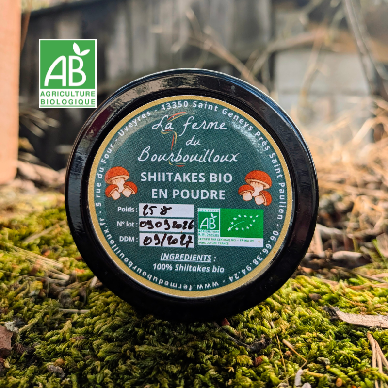 Poudre de shiitakes BIO