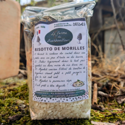 Risotto de morilles