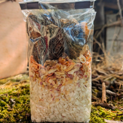 Risotto de morilles