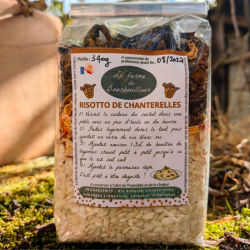 Risotto de chanterelles