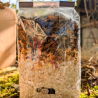 Risotto de chanterelles