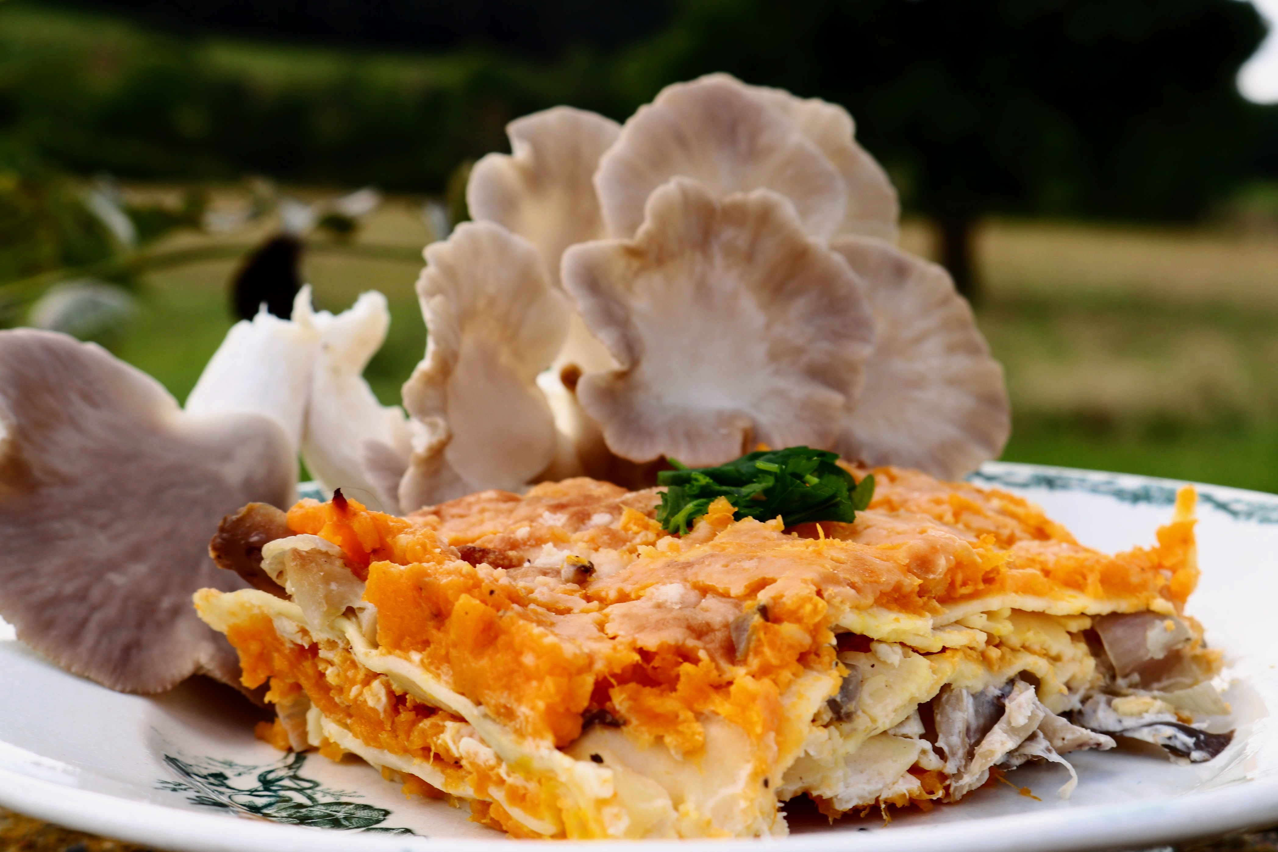 Lasagnes pleurotes butternut