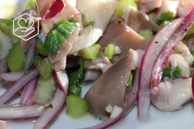 Le cycle du champignon — Épisode 4 : de la culture à l'assiette